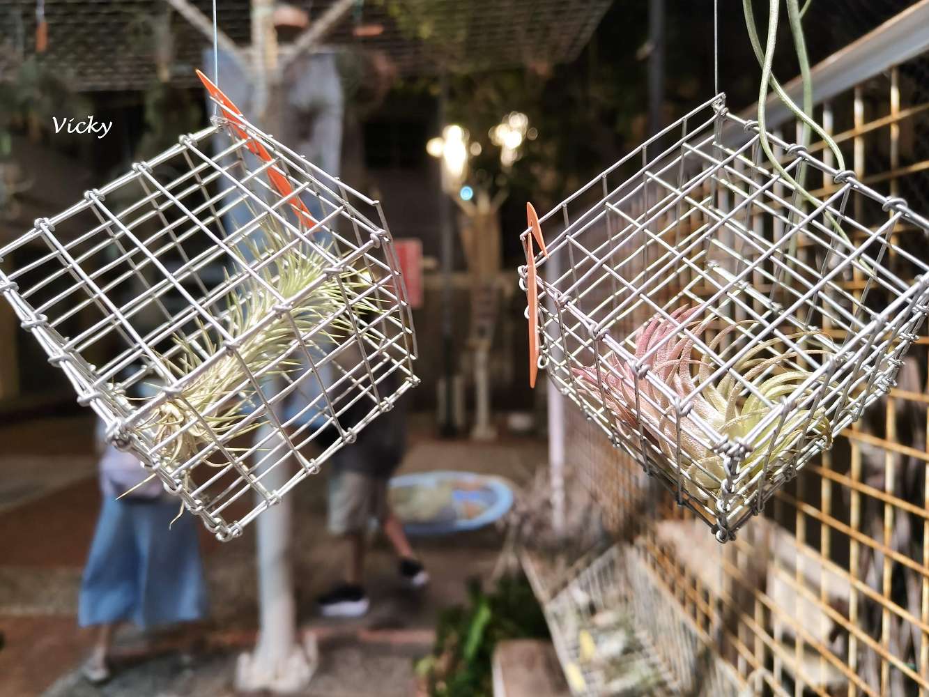 台南中西區美食｜田麵匠：四位主廚的研發魂，成就一碗文青好麵！用餐後還可漫步府中街