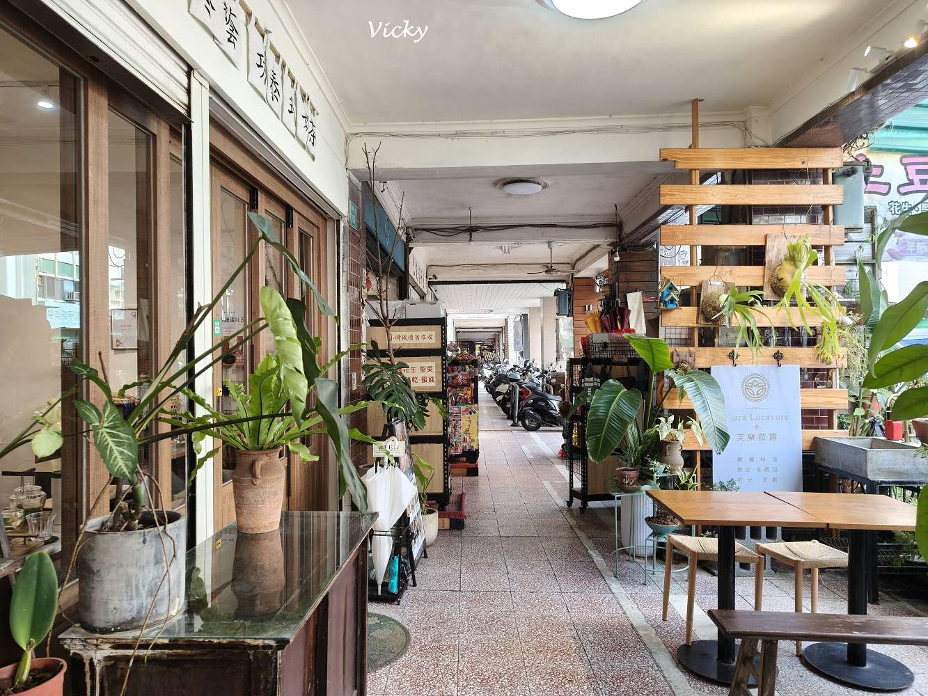 台南中西區美食|芙樂菈露 泰式冬蔭功:民權路上的綠意秘境,老闆娘親種香料的溫暖滋味!附菜單 台南中西區美食|芙樂菈露 泰式冬蔭功:民權路上的綠意秘境,老闆娘親種香料的溫暖滋味!附菜單