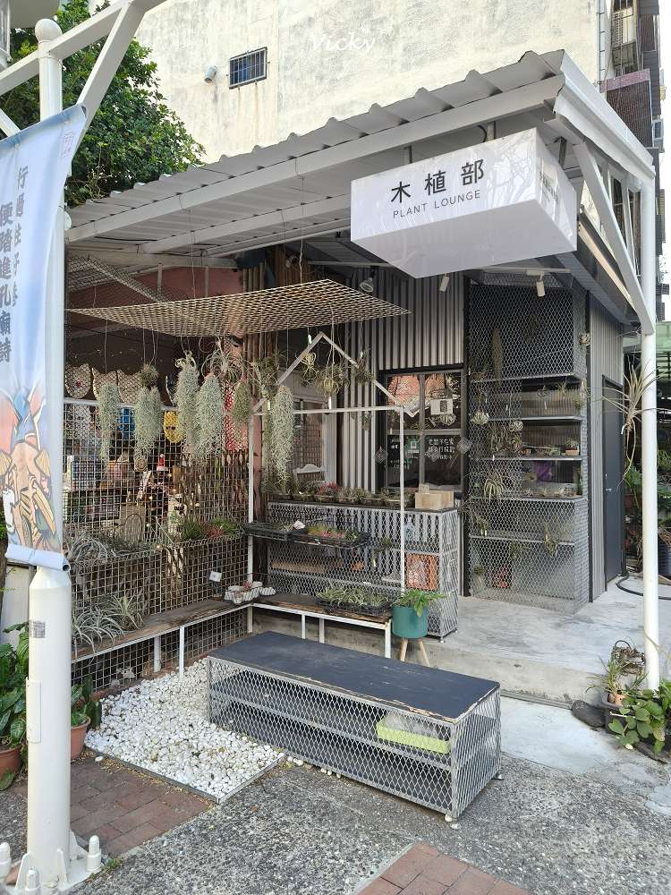 台南中西區特色店家｜木植部：府中街上的無人秘境，空氣鳳梨與誠實商店的療癒邂逅