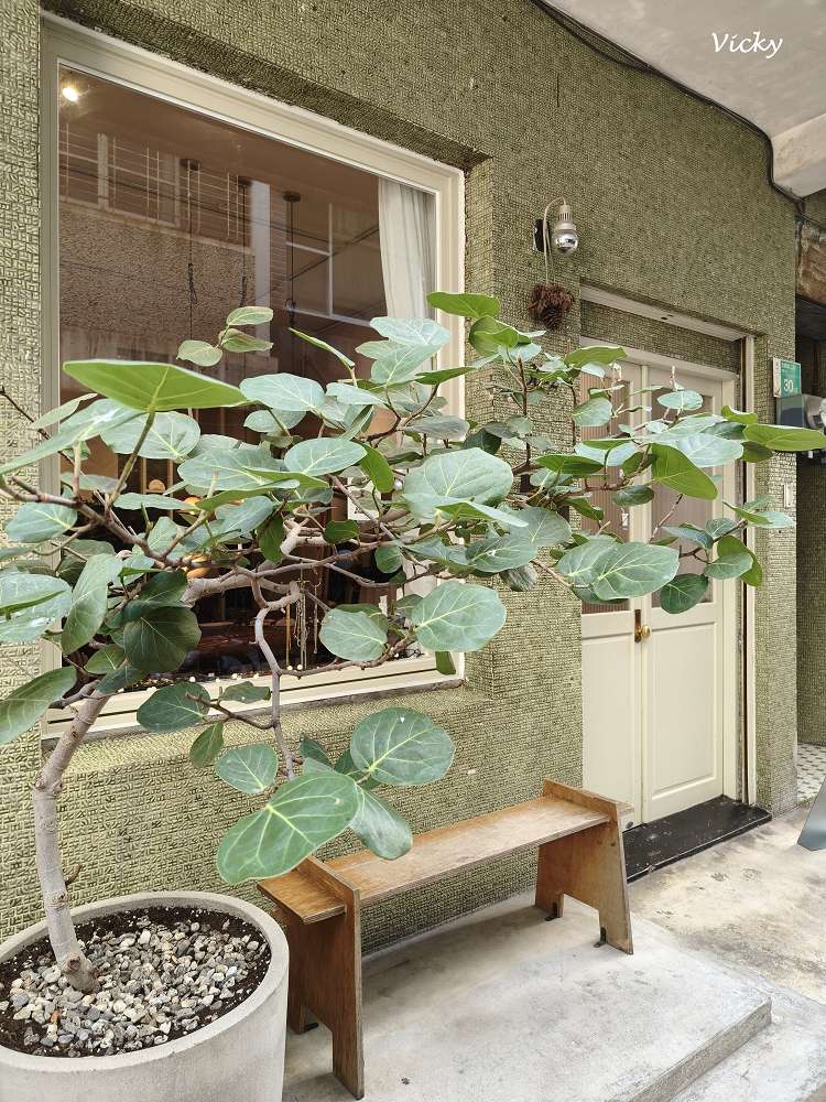 台南散步︱忠義路158巷「番薯崎」12間風格好店、美食地圖全攻略，鑽進府城最美時光巷弄！