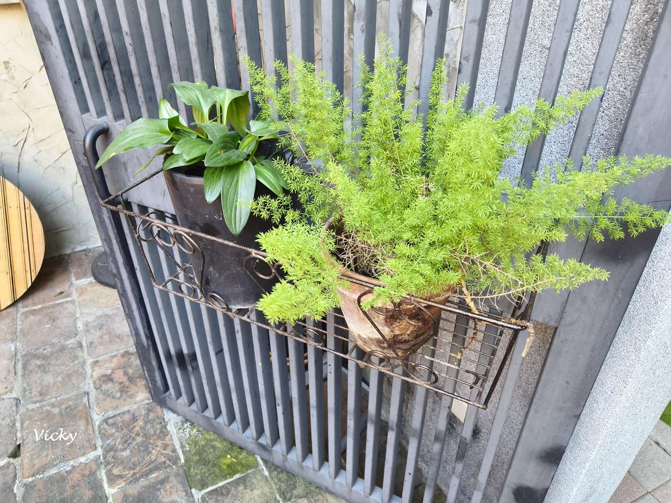 台南一日遊︱開山路、 府中街的美食與雜貨散策！12間必訪老屋、質感選物與甜點地圖