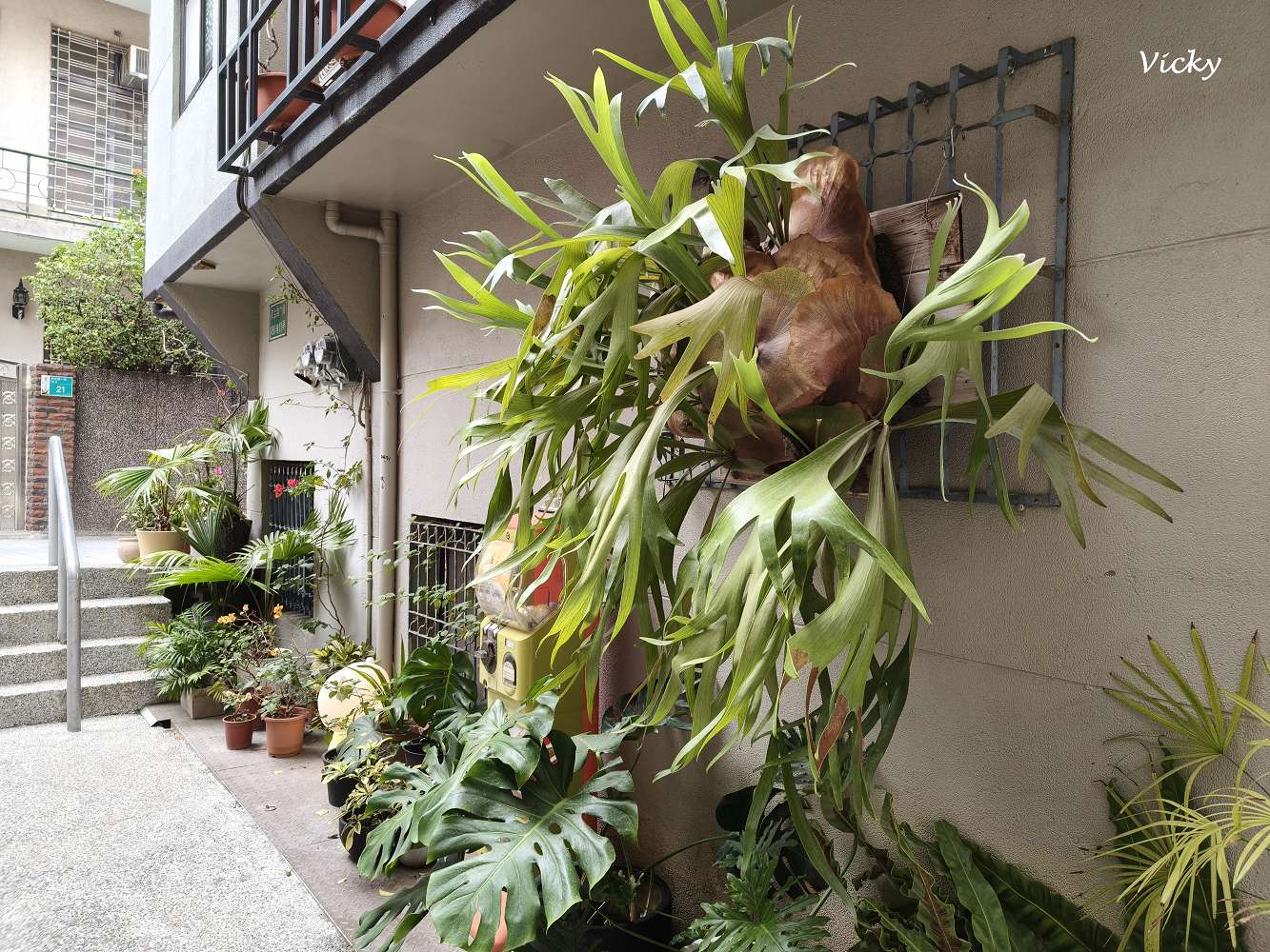 台南中西區美食地圖︱蝸牛巷 12 間全制霸攻略!無人書店、排隊銅鑼燒與隱藏版日式老宅 台南中西區美食地圖︱蝸牛巷 12 間全制霸攻略!無人書店、排隊銅鑼燒與隱藏版日式老宅