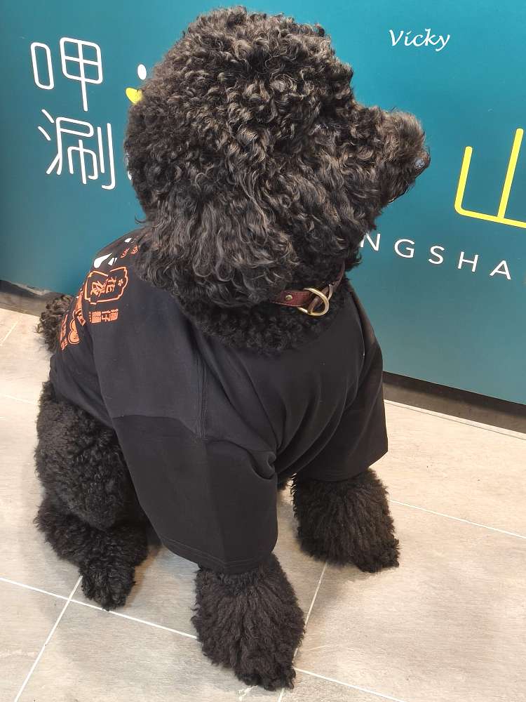 台南西市場攻略︱南區美食街 盛大開幕!27 間店家完整清單:古蹟裡吃漢堡、排隊神級甜點,附各家菜單 台南西市場攻略︱南區美食街 盛大開幕!27 間店家完整清單:古蹟裡吃漢堡、排隊神級甜點,附各家菜單