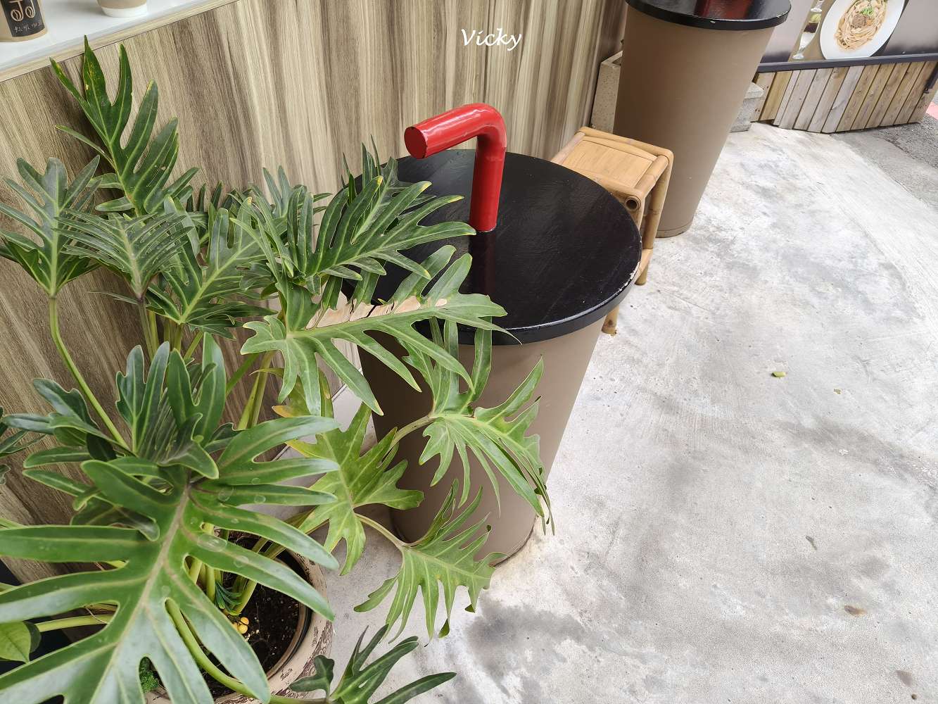 2026 台南國華街美食地圖︱國華街三段10家必吃攻略！從古早味春捲到冠軍咖啡，附Google地圖