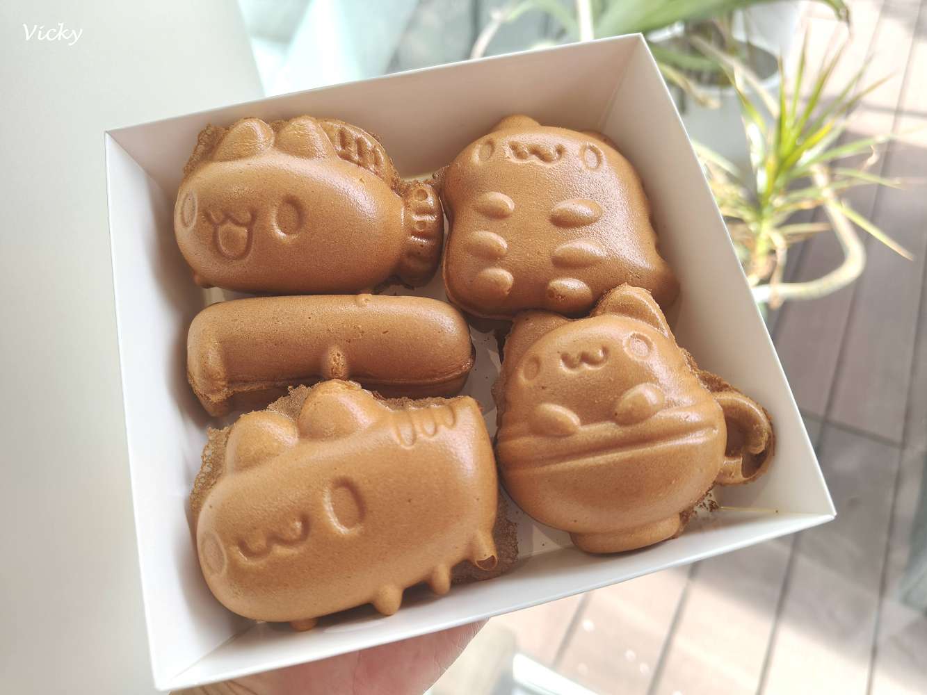 台中西區美食｜奶泡貓咖啡 民權店：咖波迷的白色夢幻基地！L型純白透明系咖啡廳，超萌造型雞蛋糕，附菜單