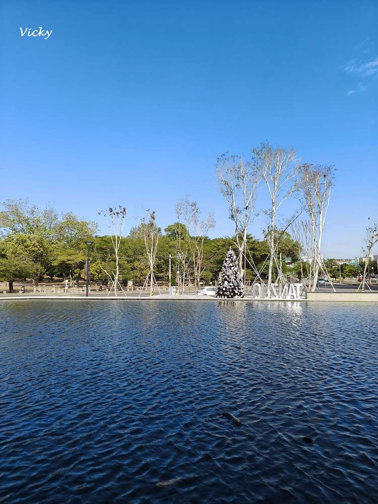 台南燒肉推薦｜碳佐麻里精品燒肉 台南新興店：慶生聚餐首選！超狂生日優惠好禮拿不完，必點幻切和牛牛舌拱橋切，含完整菜單