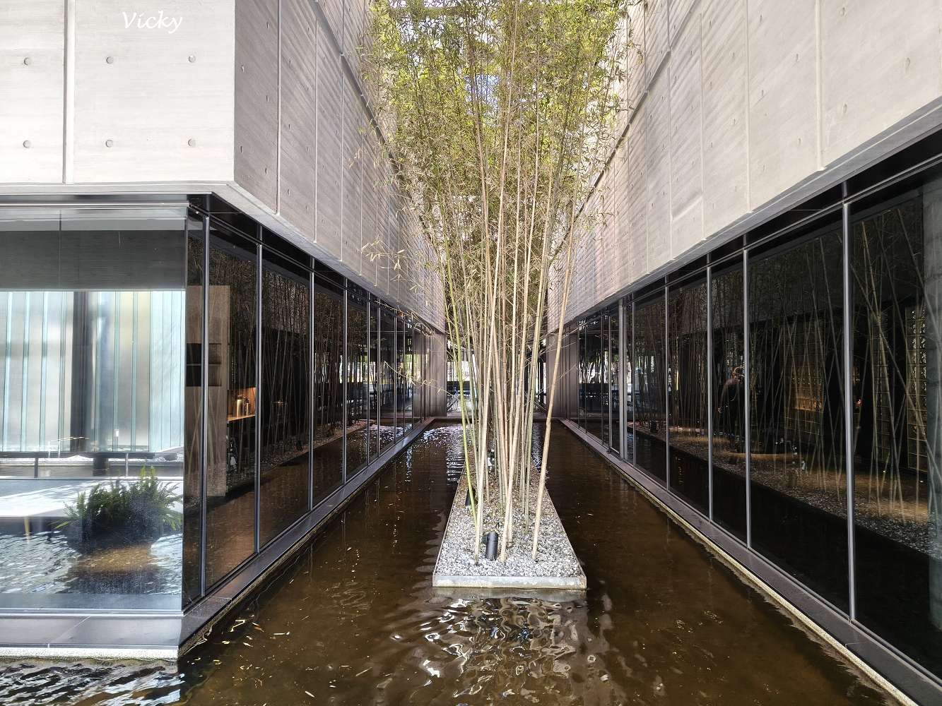 台南燒肉推薦｜碳佐麻里精品燒肉 台南新興店：慶生聚餐首選！超狂生日優惠好禮拿不完，必點幻切和牛牛舌拱橋切，含完整菜單