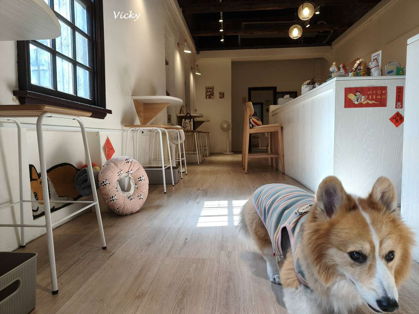 台南中西區︱木蘭：信義街老屋探險，隱身二樓的療癒系咖啡廳，柯基店長「冷摳」與焦糖布丁的午後時光