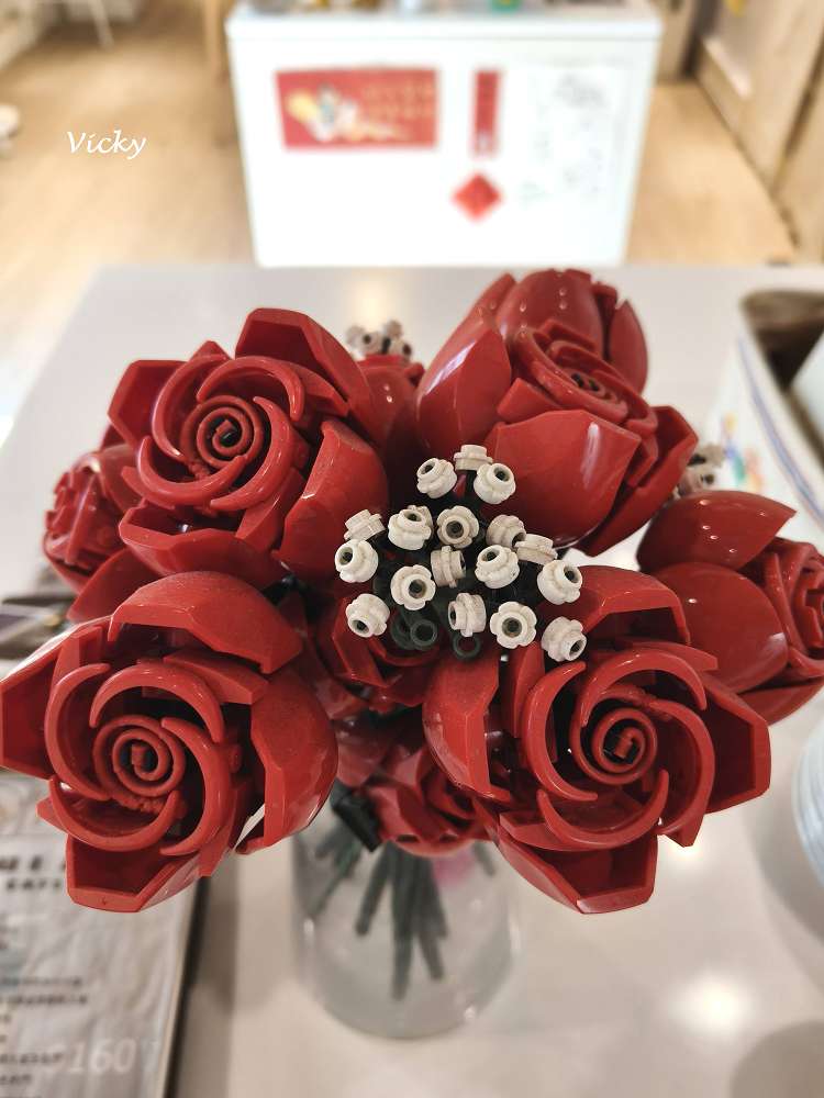 台南中西區︱木蘭：信義街老屋探險，隱身二樓的療癒系咖啡廳，柯基店長「冷摳」與焦糖布丁的午後時光