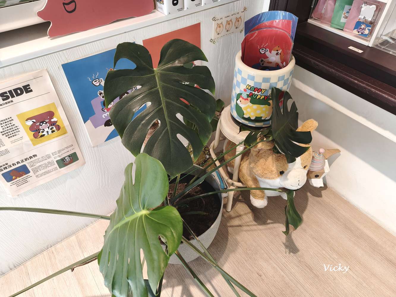 台南中西區︱木蘭：信義街老屋探險，隱身二樓的療癒系咖啡廳，柯基店長「冷摳」與焦糖布丁的午後時光