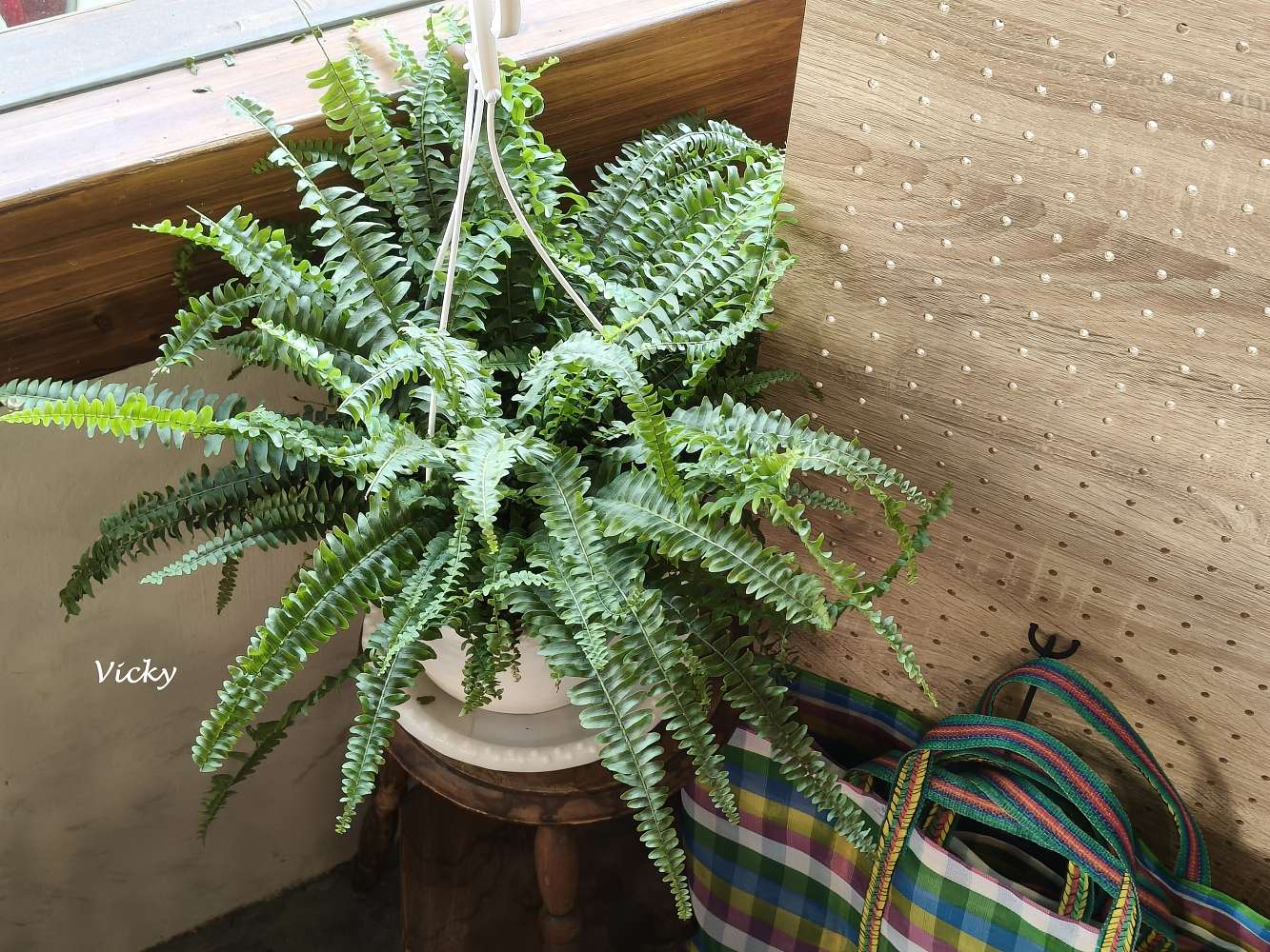 台南神農街美食｜Paris古咪小日常咖啡：窩在老宅陽台發呆，感受神農街與康樂街交會的慢步調