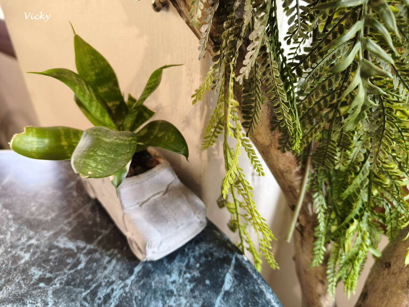 台南神農街美食｜Paris古咪小日常咖啡：窩在老宅陽台發呆，感受神農街與康樂街交會的慢步調