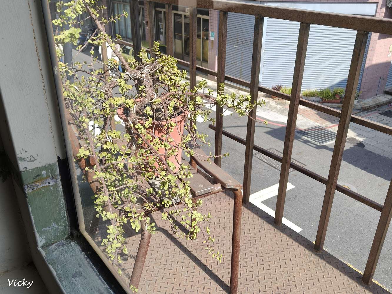 台南神農街美食｜Paris古咪小日常咖啡：窩在老宅陽台發呆，感受神農街與康樂街交會的慢步調