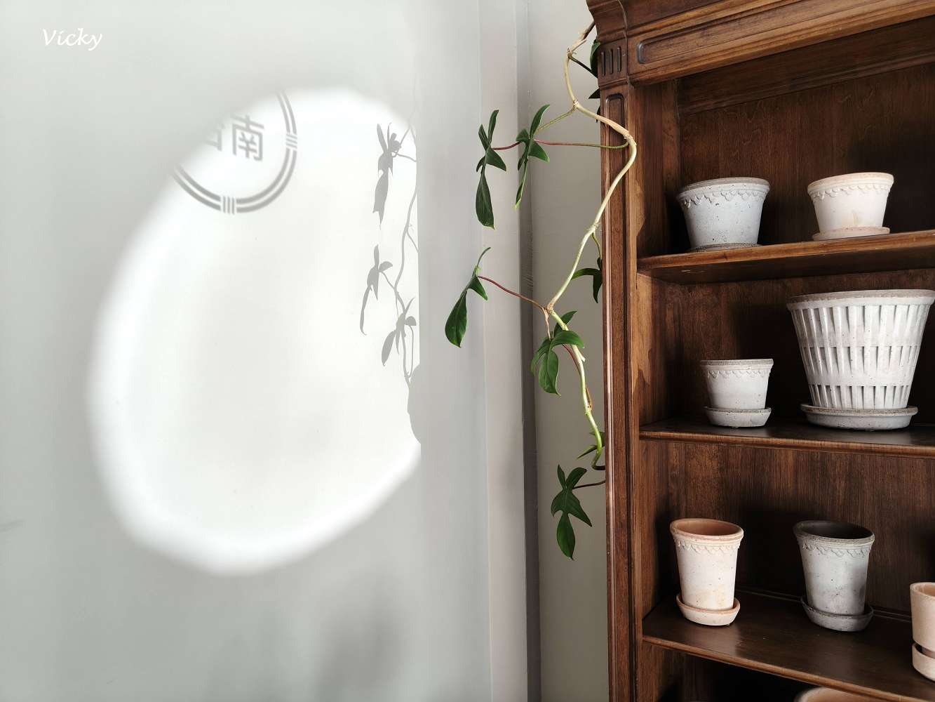 台南老宅家具店推薦︱拾藤:質感居家選物,藤編工藝與光影的空間對話 台南老宅家具店推薦︱拾藤:質感居家選物,藤編工藝與光影的空間對話