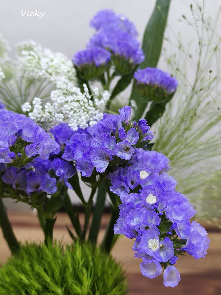 台中花店推薦｜弎學植務所：審計新村轉角遇見森林系秘境，百元就能帶走的生活儀式感，質感生活從這裡開始！