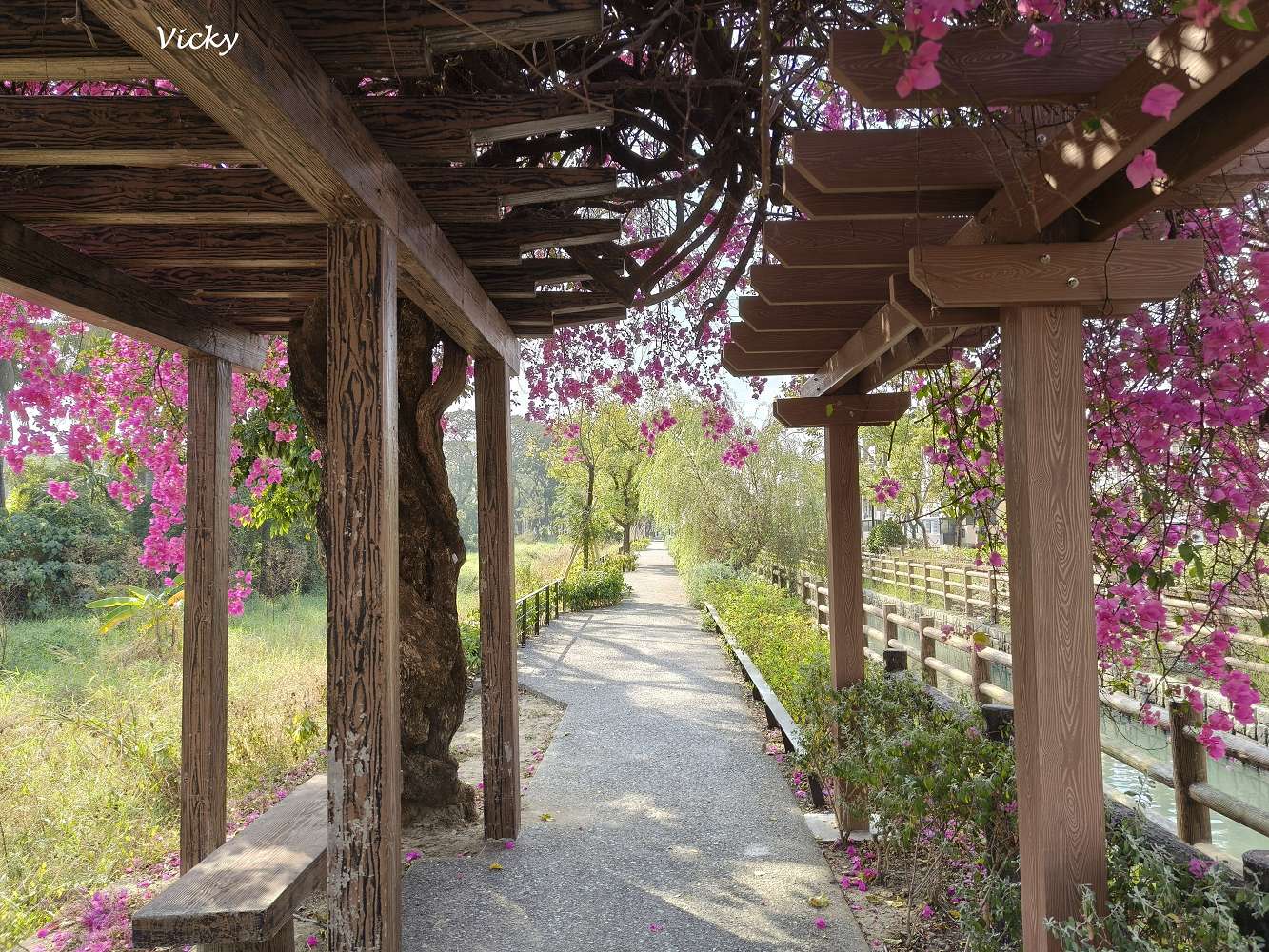 台南新化景點︱南圳綠堤堤岸公園、體育公園：老街旁的華麗轉身！昔日雜亂小徑變身寬敞花廊，全新特色遊戲場，親子放電、飯後散步的絕美秘境
