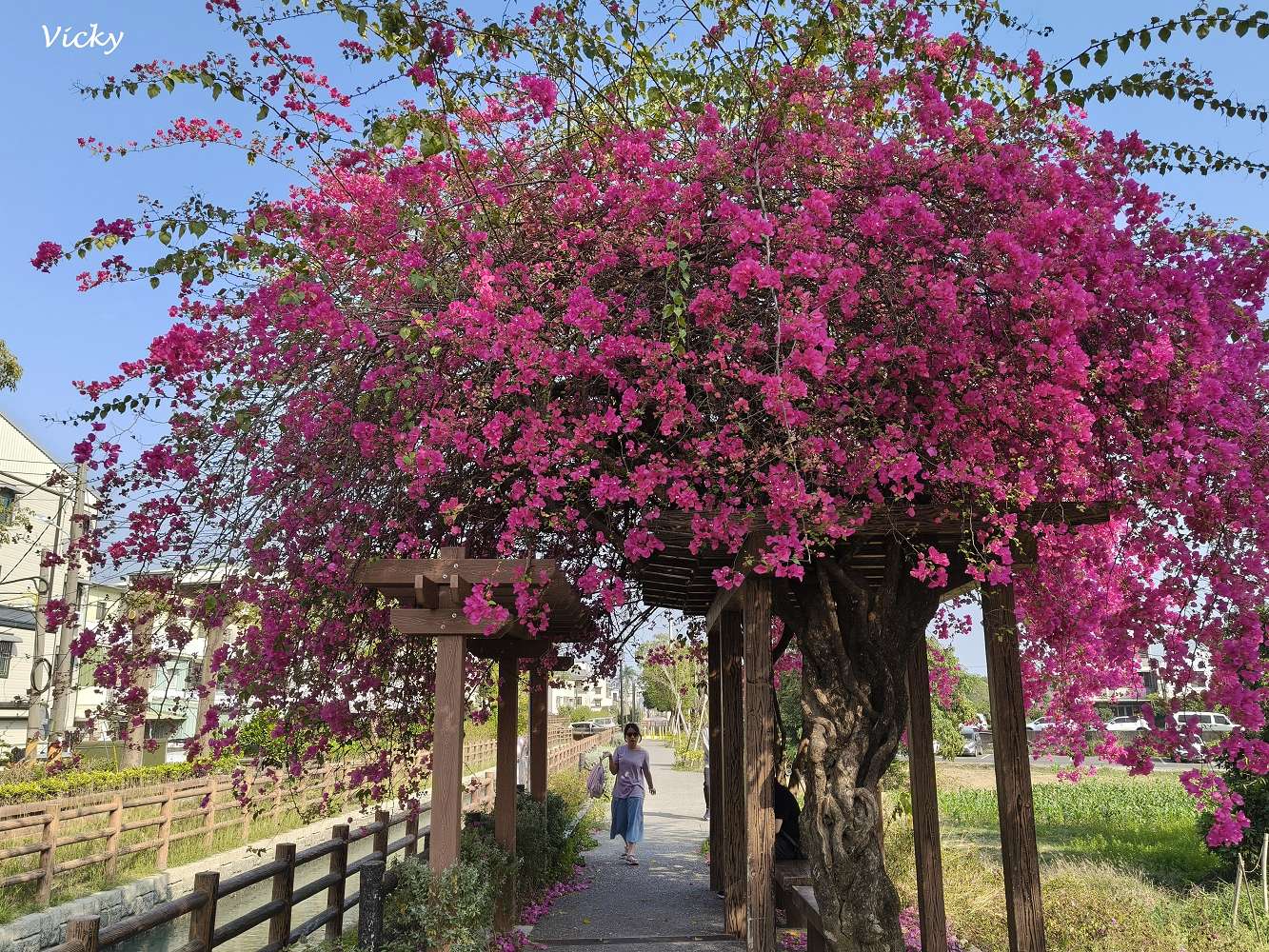 網站近期文章：台南新化景點︱南圳綠堤堤岸公園、體育公園：老街旁的華麗轉身！昔日雜亂小徑變身寬敞花廊，全新特色遊戲場，親子放電、飯後散步的絕美秘境