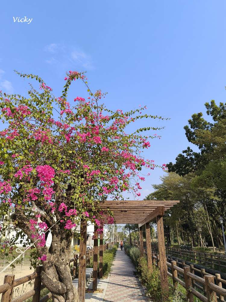 台南新化景點︱南圳綠堤堤岸公園、體育公園：老街旁的華麗轉身！昔日雜亂小徑變身寬敞花廊，全新特色遊戲場，親子放電、飯後散步的絕美秘境
