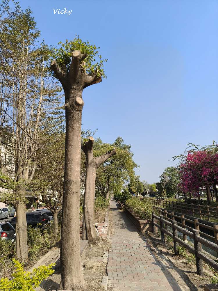 台南新化景點︱南圳綠堤堤岸公園、體育公園：老街旁的華麗轉身！昔日雜亂小徑變身寬敞花廊，全新特色遊戲場，親子放電、飯後散步的絕美秘境