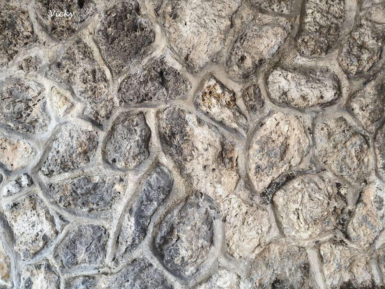 2026 台南信義街懶人包：木蘭咖啡、筑馨居、巴貝羅斯，10個必訪的文青角落