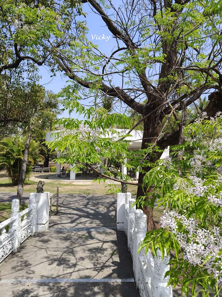 2026 台南公園春季賞花指南：走進苦楝花的紫色夢境，如童話般的燕潭與歷史木屋