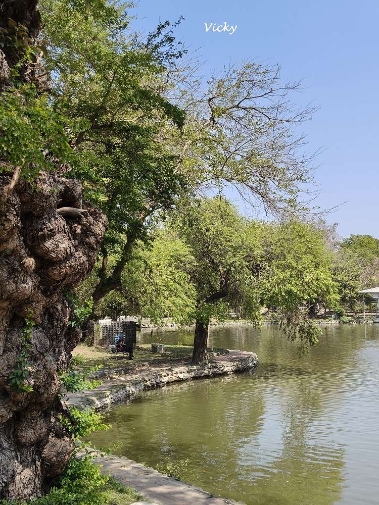 2026 台南公園春季賞花指南：走進苦楝花的紫色夢境，如童話般的燕潭與歷史木屋