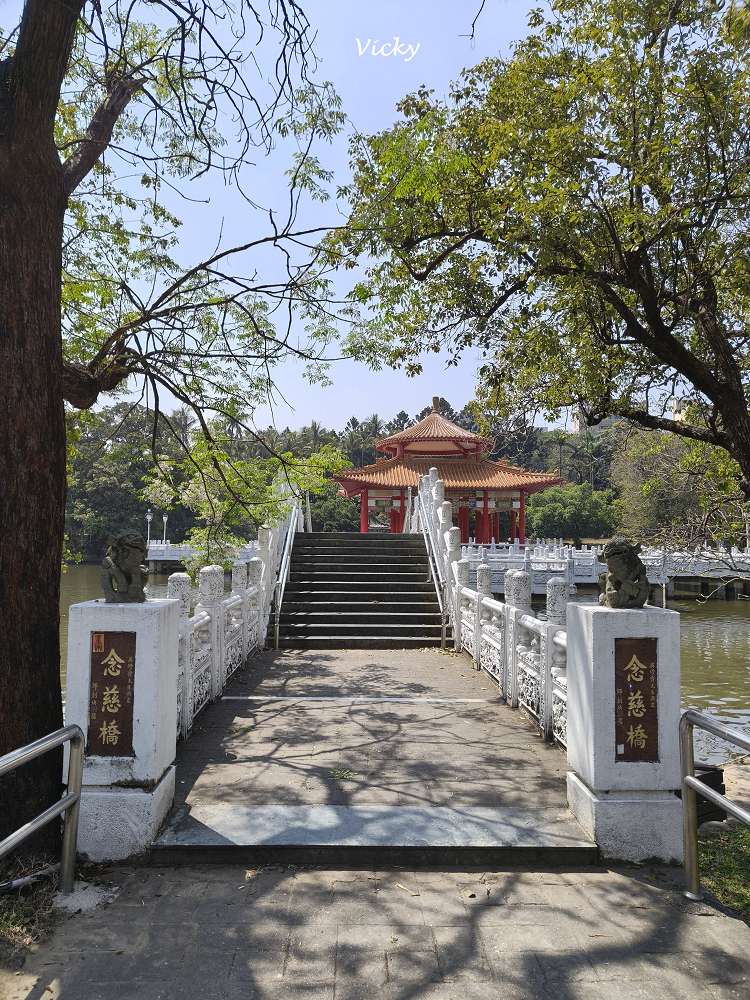 2026 台南公園春季賞花指南：走進苦楝花的紫色夢境，如童話般的燕潭與歷史木屋