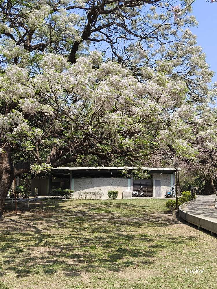 網站近期文章：2026 台南公園春季賞花指南：走進苦楝花的紫色夢境，如童話般的燕潭與歷史木屋