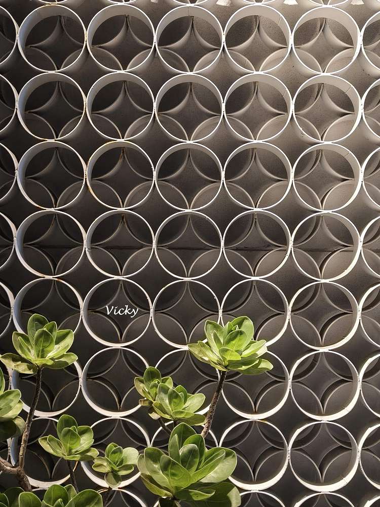 台南大學美食︱桃子手作料理:慶中街上職人手作定食推薦,漫步校園旁的文青溫馨好滋味,附菜單 台南大學美食︱桃子手作料理:慶中街上職人手作定食推薦,漫步校園旁的文青溫馨好滋味,附菜單