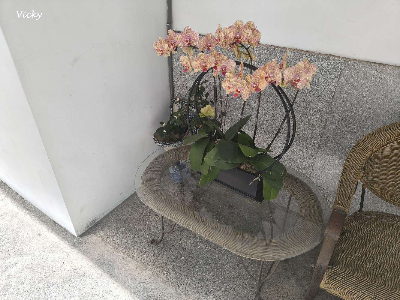 台南中西區老屋咖啡︱B.B. Cafe 小黑熊咖啡：走進台南民權路的歷史摺頁，與藝文展覽、老屋咖啡來一場驚喜邂逅