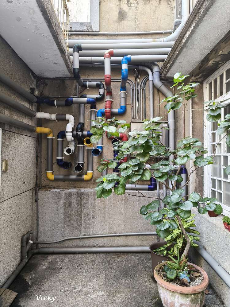 台南中西區老屋咖啡︱B.B. Cafe 小黑熊咖啡：走進台南民權路的歷史摺頁，與藝文展覽、老屋咖啡來一場驚喜邂逅