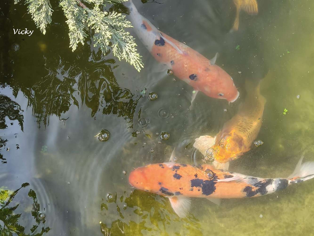 台南景點︱鷲嶺食肆（原鶯料理）：天公廟後方的秘密桃花源，在日式百年宅邸遇見阿霞飯店的優雅歲月
