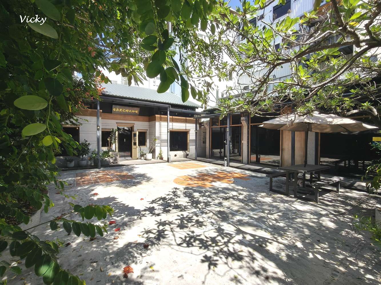 台南老宅蜂大咖啡：隱身民權路巷弄的城市祕境，跳格子、擼貓、享受離塵不離城的時光