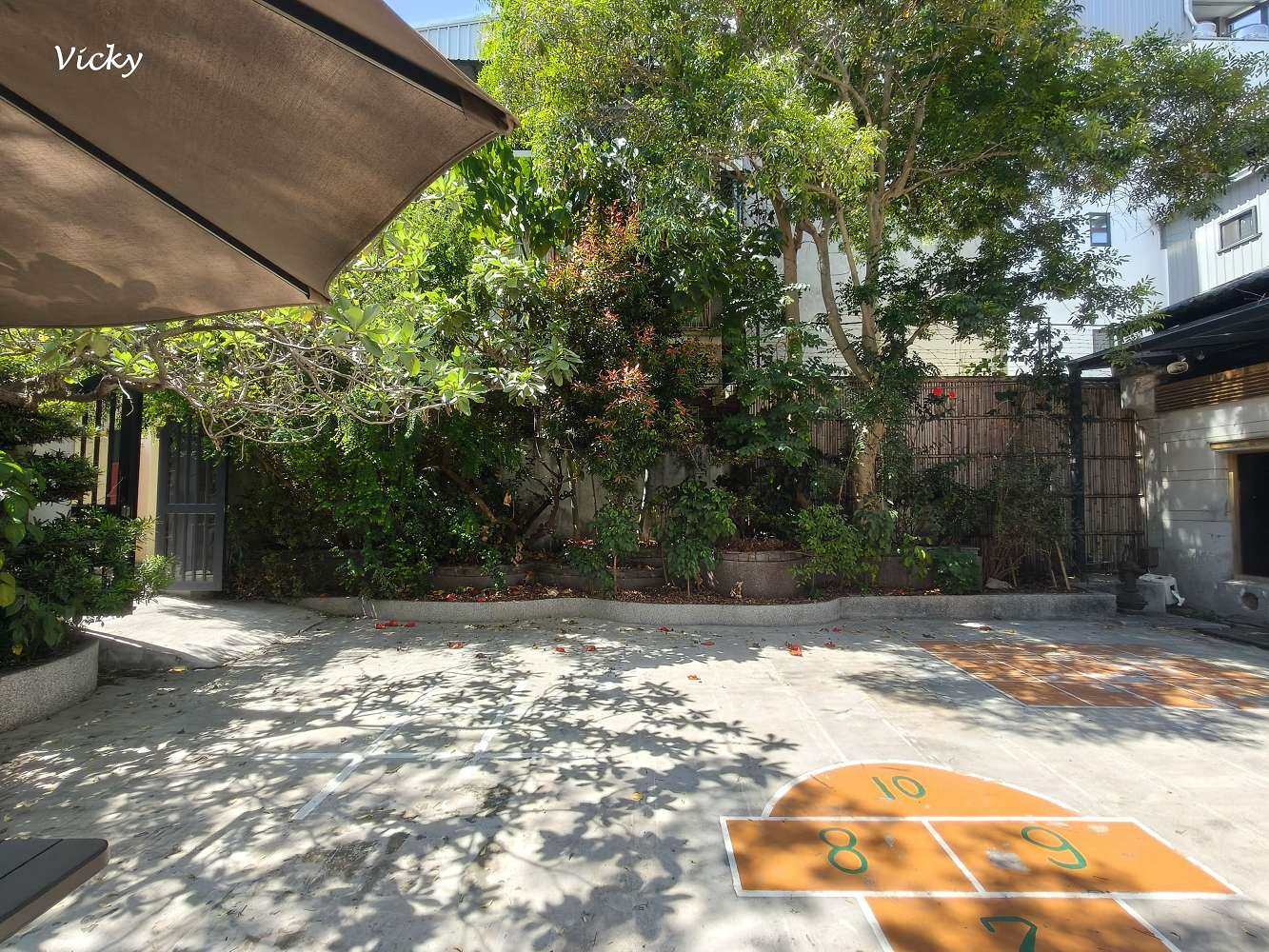 台南老宅蜂大咖啡：隱身民權路巷弄的城市祕境，跳格子、擼貓、享受離塵不離城的時光