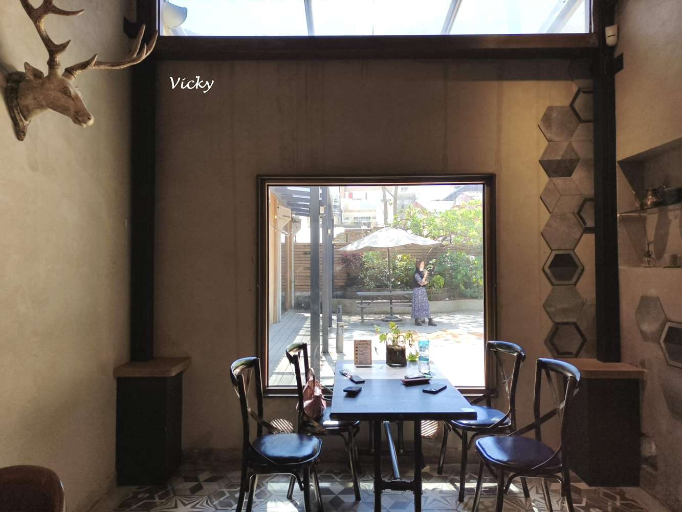 台南老宅蜂大咖啡：隱身民權路巷弄的城市祕境，跳格子、擼貓、享受離塵不離城的時光