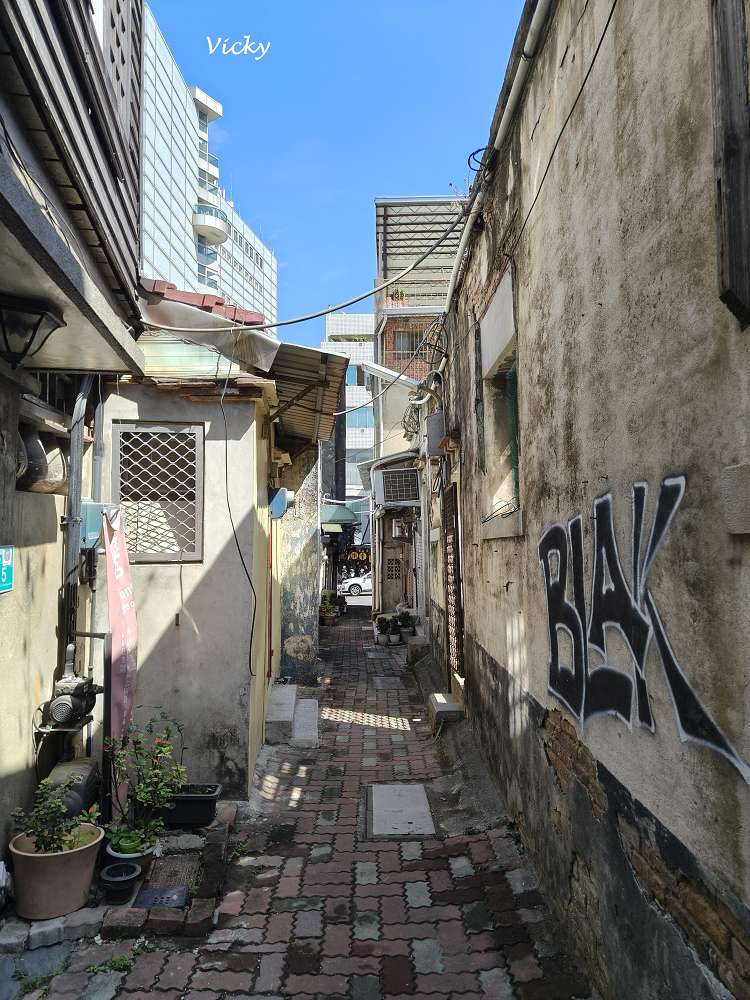 台南老宅蜂大咖啡：隱身民權路巷弄的城市祕境，跳格子、擼貓、享受離塵不離城的時光