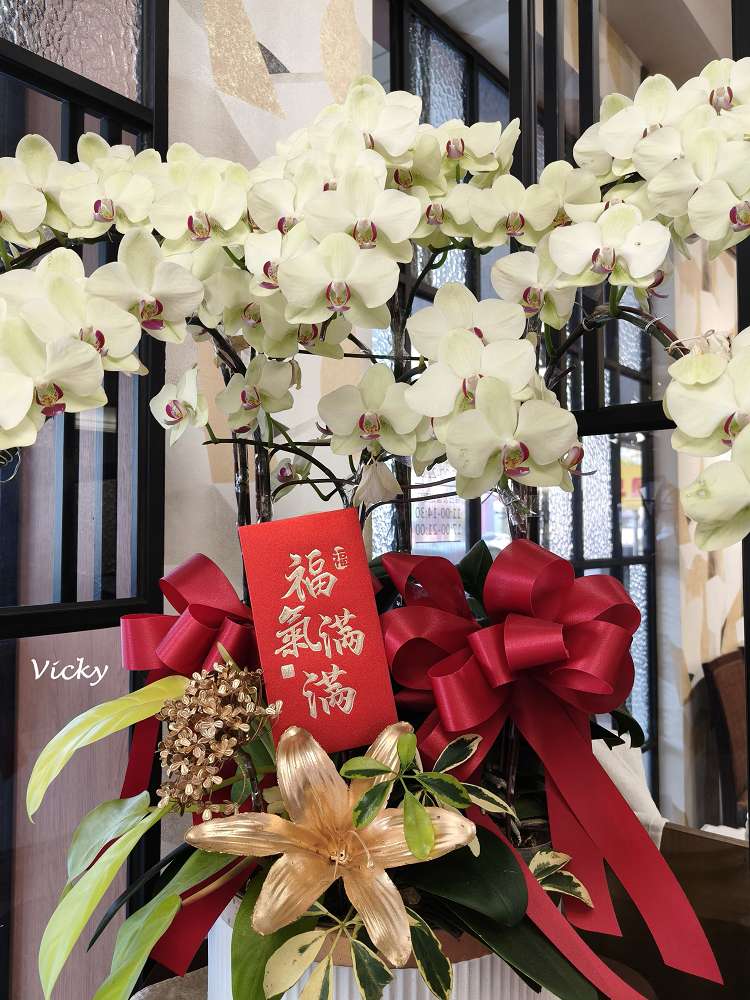 台南小籠湯包推薦︱滬品上海湯包：新址！好停車、餐點多樣化，家庭聚餐首選，附菜單