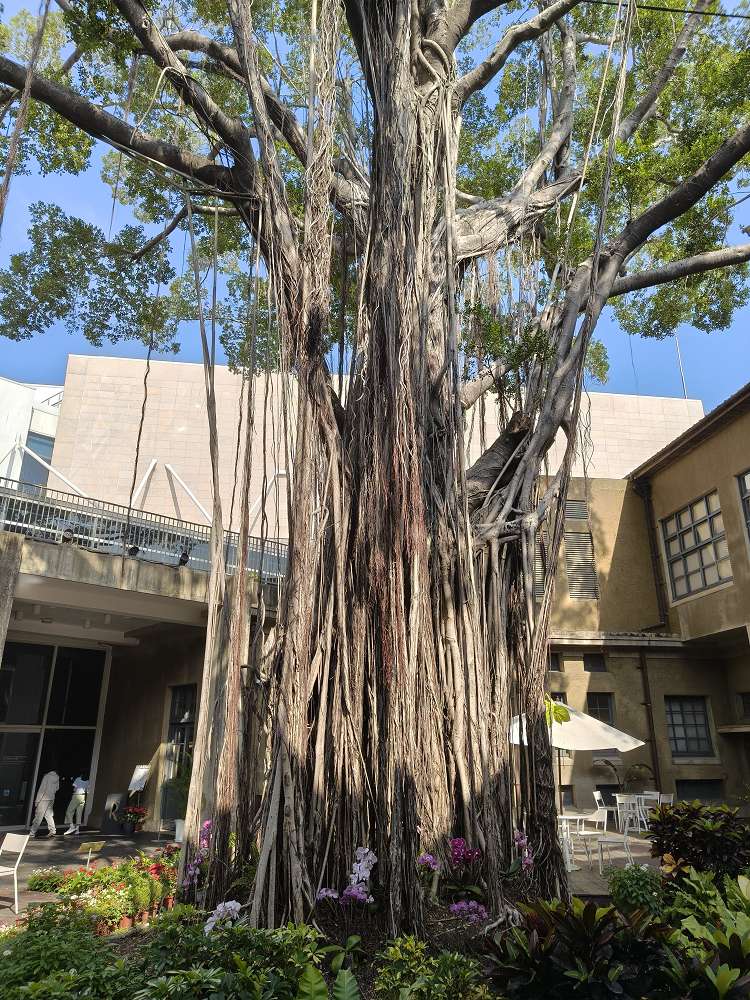 臺南市美術館︱2026 最新展覽:從餐桌到神桌的藝術連結,食物控必看的療癒系工藝美學 臺南市美術館︱2026 最新展覽:從餐桌到神桌的藝術連結,食物控必看的療癒系工藝美學