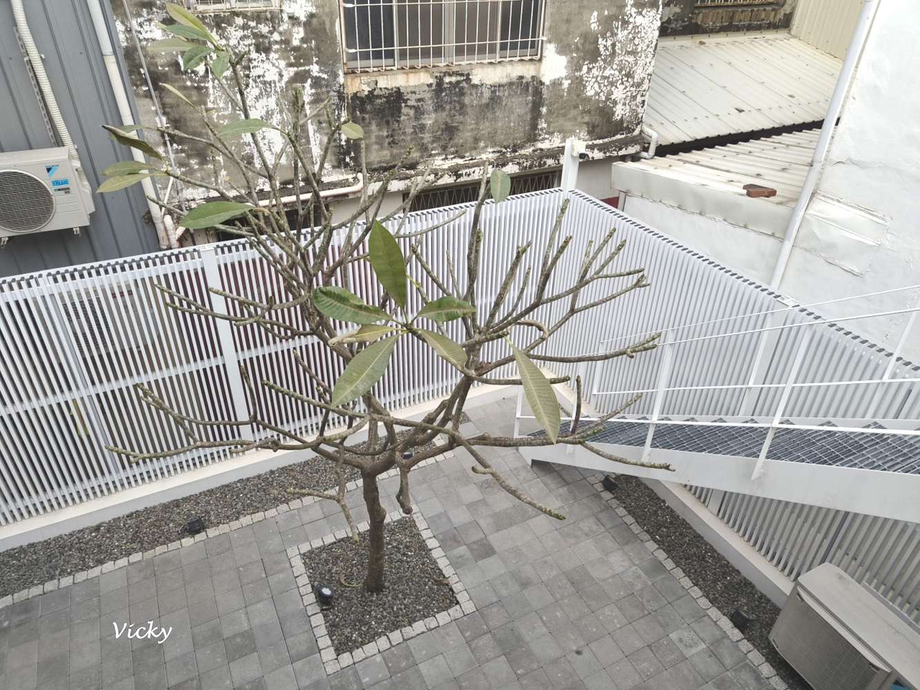 台南東區早午餐︱巷弄走走Cafe：隱身巷弄的純白美學，在極簡自家宅感受講究食材的溫度，附菜單