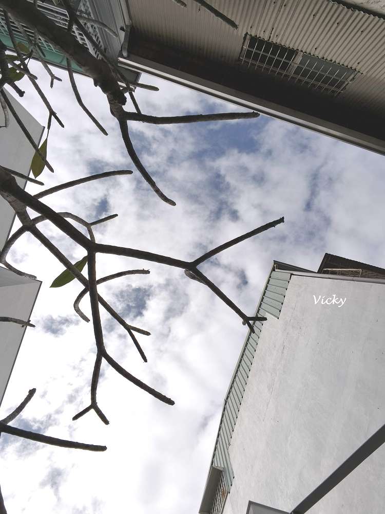 台南東區早午餐︱巷弄走走Cafe：隱身巷弄的純白美學，在極簡自家宅感受講究食材的溫度，附菜單