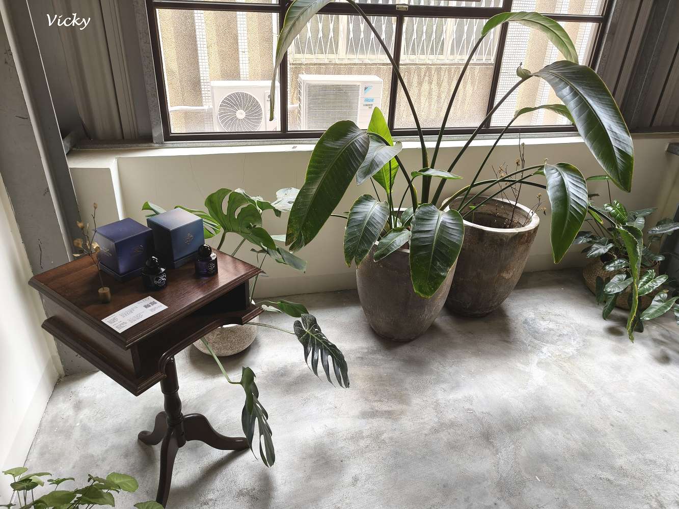 台南東區 隱藏版下午茶︱蔛菟 HUTU：森林系茶館俯瞰綠意草地，隱身二樓的桃花源