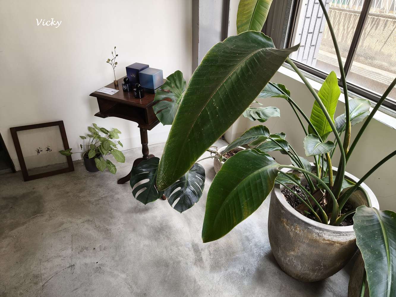 台南東區 隱藏版下午茶︱蔛菟 HUTU：森林系茶館俯瞰綠意草地，隱身二樓的桃花源