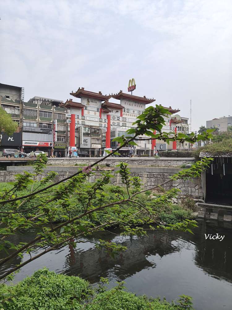 2026台南洋紅風鈴木爆發！三大夢幻粉紅景點全攻略：健康路、公園路、仁德滯洪池，市區就能拍爆落櫻繽紛！