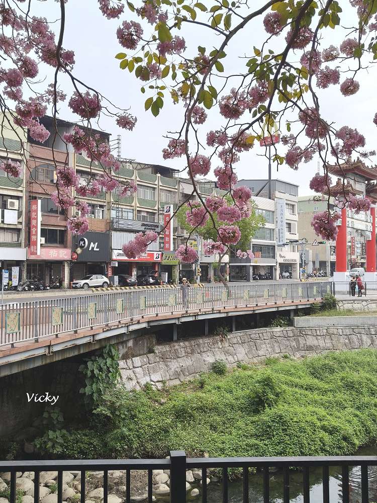 2026台南洋紅風鈴木爆發！三大夢幻粉紅景點全攻略：健康路、公園路、仁德滯洪池，市區就能拍爆落櫻繽紛！