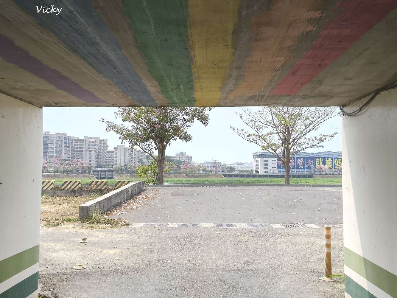 2026台南洋紅風鈴木爆發！三大夢幻粉紅景點全攻略：健康路、公園路、仁德滯洪池，市區就能拍爆落櫻繽紛！