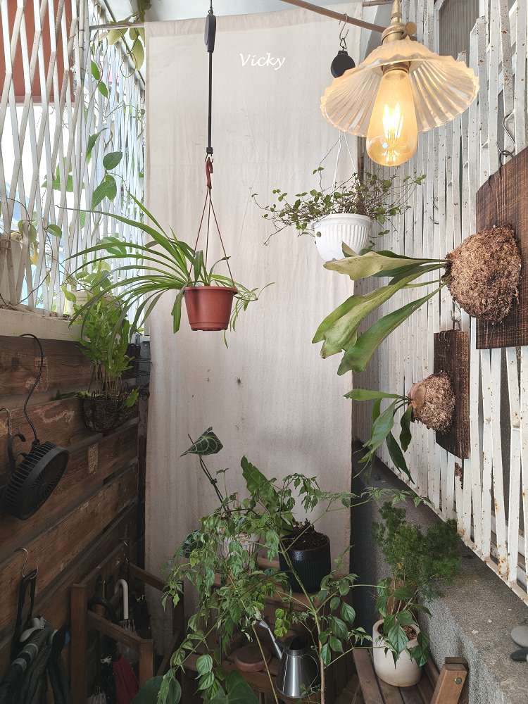 台南早午餐推薦︱小巷裡的拾壹號:衛民街隱藏版老宅咖啡廳,飽足感雞肉三明治必吃!附菜單 台南早午餐推薦︱小巷裡的拾壹號:衛民街隱藏版老宅咖啡廳,飽足感雞肉三明治必吃!附菜單