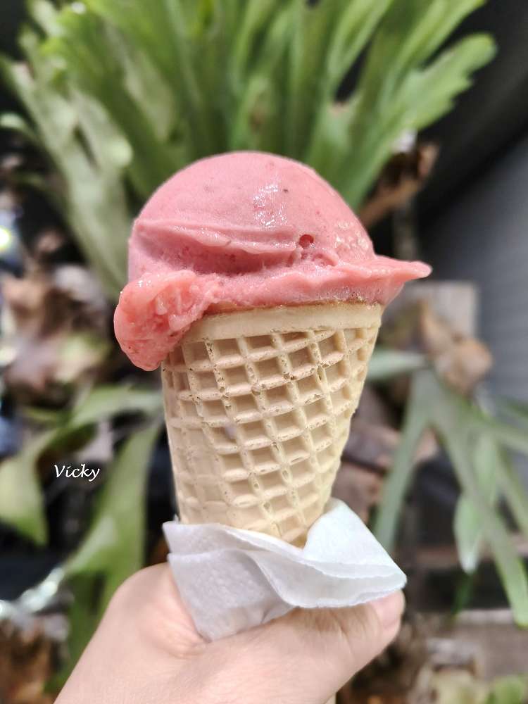 歸仁美食︱山山九甜點工作室 義式冰淇淋：隱藏巷弄的手工義式冰淇淋，多種口味讓人忍不住「再來一球」！