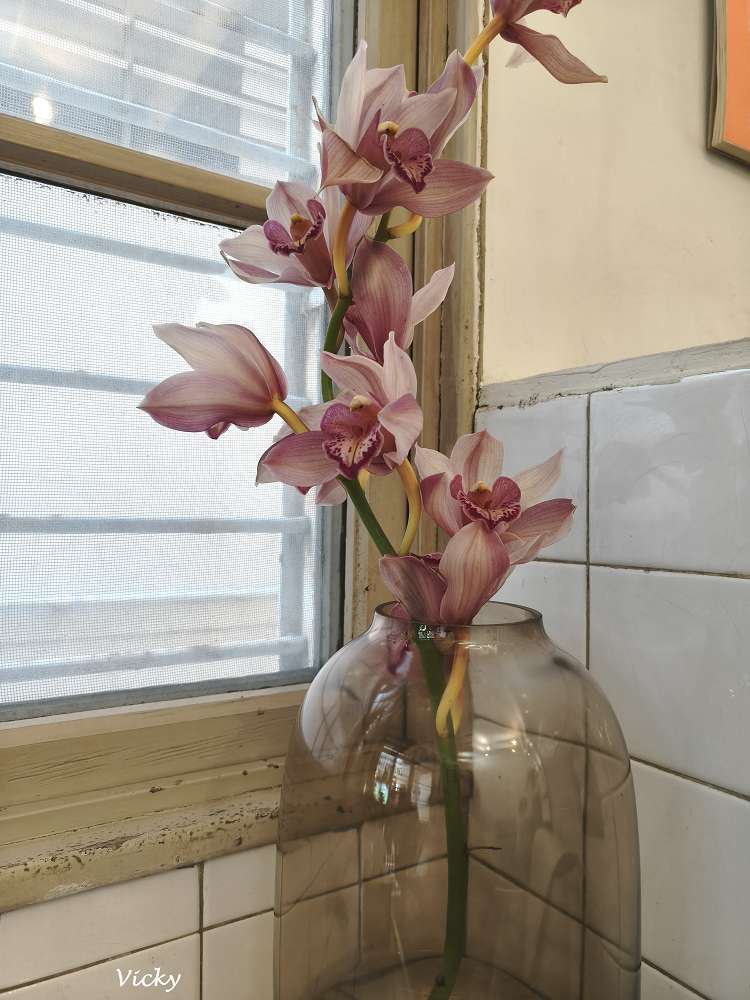 台南早午餐︱和喫咖啡：隱身法華街老屋的職人手作，沒提早來就得等兩小時的巷弄美味，附菜單