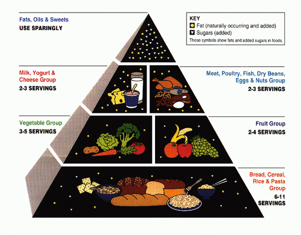 USDA_Food_Pyramid.gif