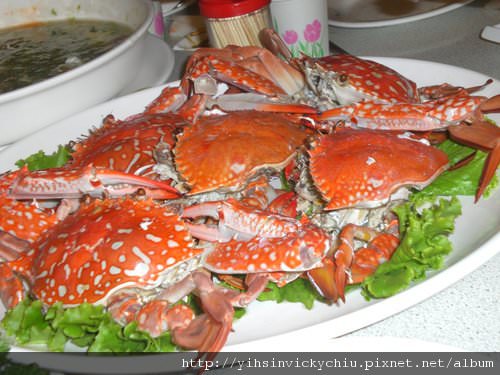 台南、高雄12間海產餐廳︱現撈的尚青，秋天吃海鮮，新鮮看這邊